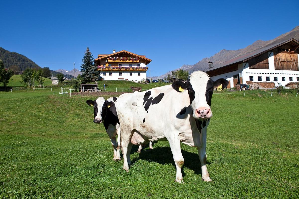 דירות רידאנה Schneiderhof, Chalet, Urlaub Auf Dem Bauernhof מראה חיצוני תמונה